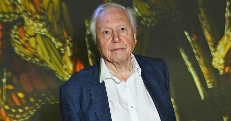 David Attenborough-t mélyen megdöbbentette, hogy mesterséges intelligencia segítségével hamisítják a személyazonosságát.