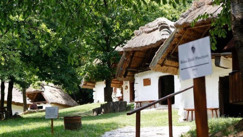 Elbűvölő fénykép készült a Kőszegi-hegység egyik legpompásabb helyszínéről: ez a pincesor valóban varázslatos látványt nyújt.