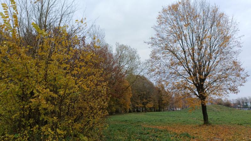 Holnapi időjárás-előrejelzés: hogyan változik a hőmérséklet?