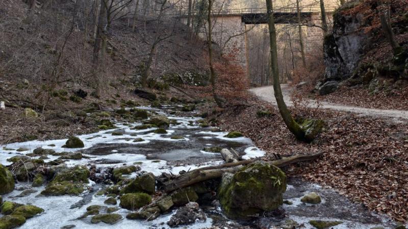 A Bakony mesés tájain a Cuha-patak varázslatos módon fagyott be, s a téli táj festői szépsége mindenkit lenyűgöz. A jégcsapok csillogása és a hóval borított fák együtt egy igazi téli csodavilágot teremtenek, ahol a természet csendje és nyugalma uralkodik.