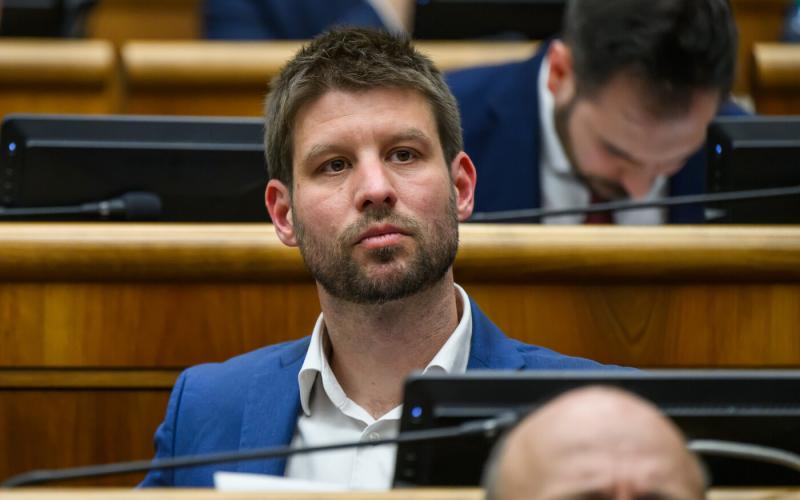 A Hlas párt álláspontja az elnöki vétóval kapcsolatban kulcsfontosságú tényező a politikai tájékozódás szempontjából. A párt vezetősége hangsúlyozza, hogy az elnöki vétó nem csupán egy jogi eszköz, hanem politikai üzenetet is hordoz. A Hlas számára fontos