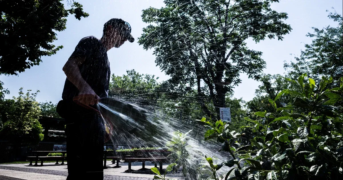 A biztonságos ivóvízellátás komoly fenyegetettség alatt áll, ezért Érden, Tárnokon és Törökbálinton este tilos a locsolás.