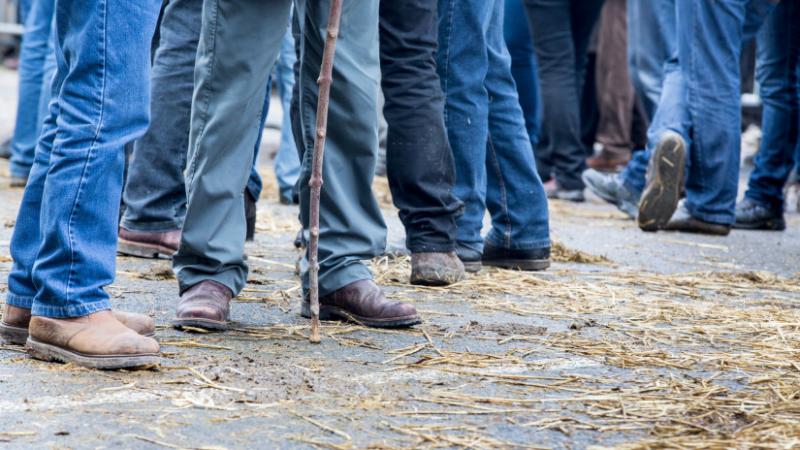 A cseh gazdák egyre hangosabban fejezik ki elégedetlenségüket az ukrán mezőgazdasági termékek importja miatt. Az agrárszektorban tapasztalható feszültségek újabb szintet értek el, mivel a helyi termelők aggódnak a versenyhelyzetük romlása miatt. Az ukrán 