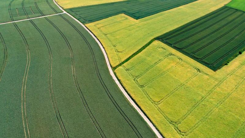 Az alábbiakban bemutatjuk, hogyan zajlik a földek árverezése Magyarországon: fontos, hogy mindenki tisztában legyen ezzel a folyamattal - Agro Napló.