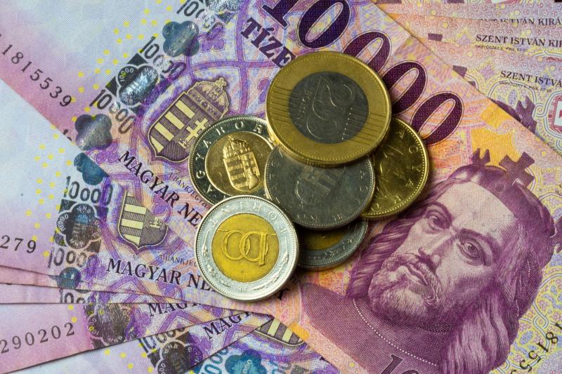 Meglepetésre készülj, hiszen a külföldi szakértő egy merész állítást fogalmazott meg: szerinte ennyi összegből kényelmesen meg lehet élni Magyarországon.