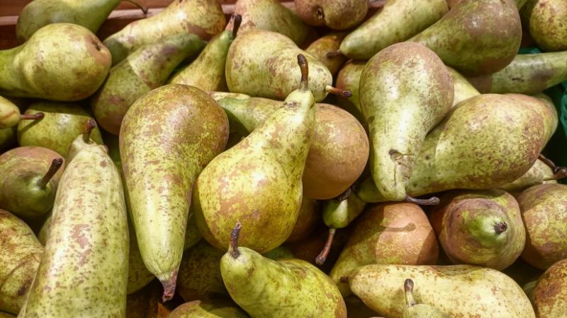 A szeles időjárás komoly csapást mért az ukrán gyümölcstermesztőkre: a gyümölcsök sorsa drámaian megváltozott, és hatalmas veszteségekkel kell szembenézniük. - Agro Napló